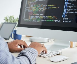 Développeur Drupal : fiche métier