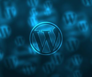 Développeur WordPress : fiche métier